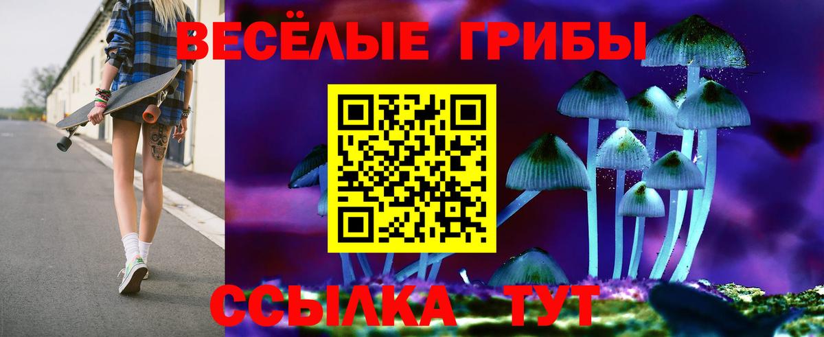 Псилоцибиновые грибы ЛСД Холмск