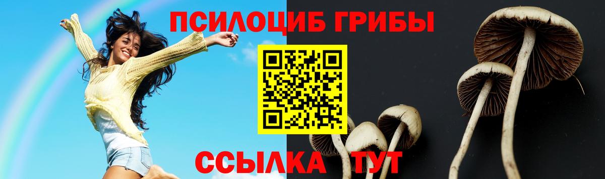 Холмск  продажа наркотиков  Галлюциногенные грибы мухоморы  Вход с VPN  Галлюциногенные грибы MAGIC MUSHROOMS 